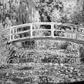 Water Lilies by Monet