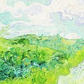 Green Wheat Fields Auvers 1890