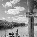 Black and White Fishing with the Florida Gators Humorous Nature Photography